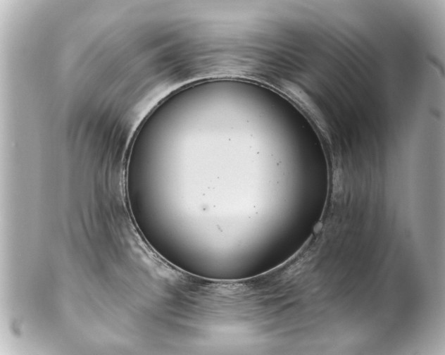X0000100901340200807011211