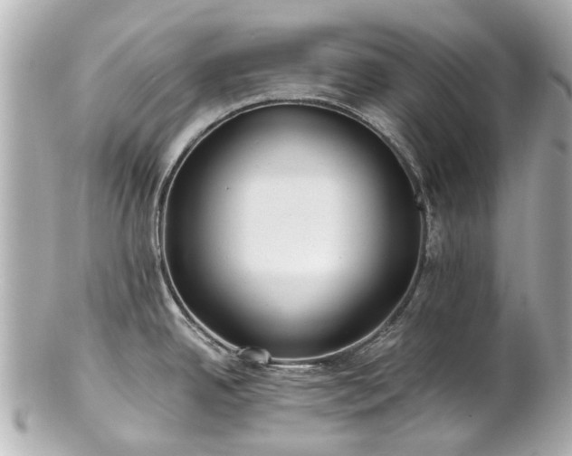 X0000100901342200807011211