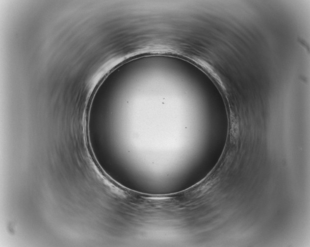 X0000100901343200807011211