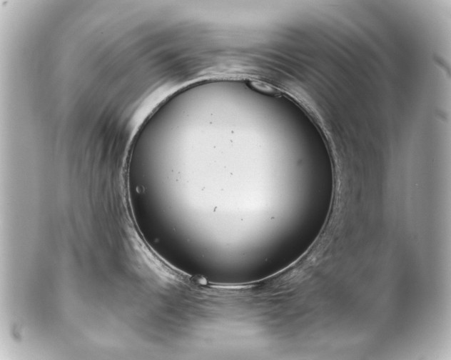 X0000100901344200807011211