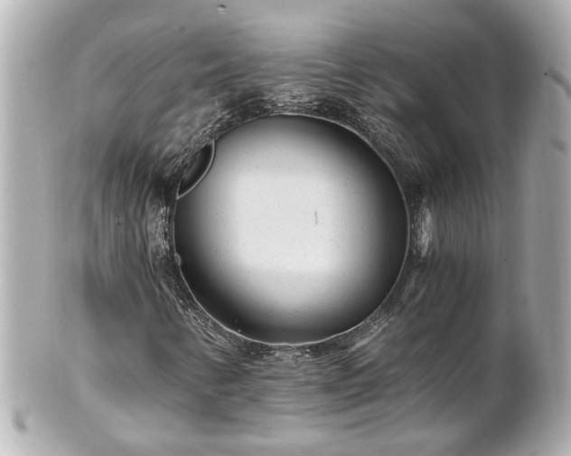 X0000100901346200807011211