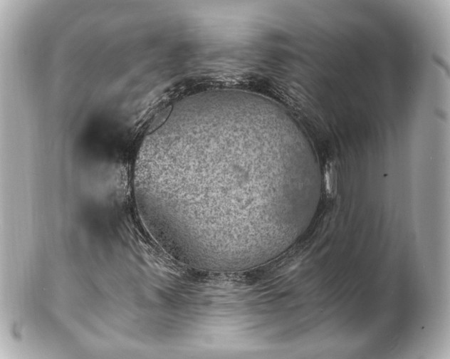 X0000100901347200807011211
