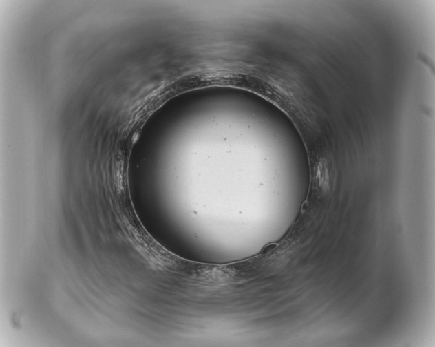 X0000100901348200807011211
