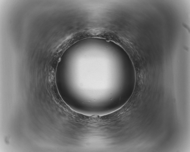 X0000100901349200807011211