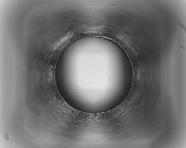 X0000100901350200807011211