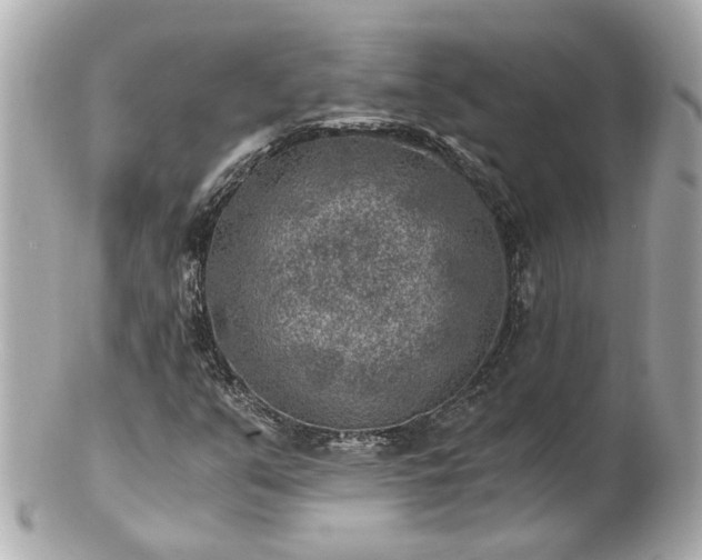 X0000100901351200807011211