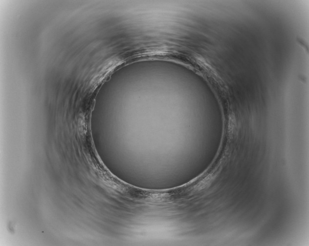 X0000100901353200807011211
