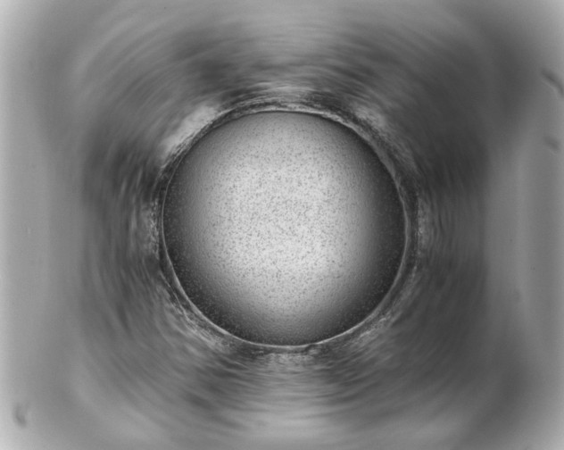 X0000100901354200807011211