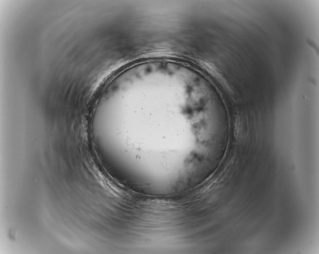 X0000100901356200807011211