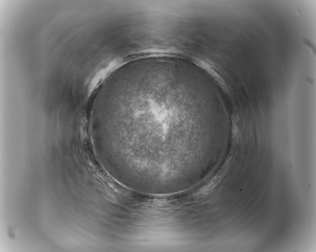 X0000100901357200807011211