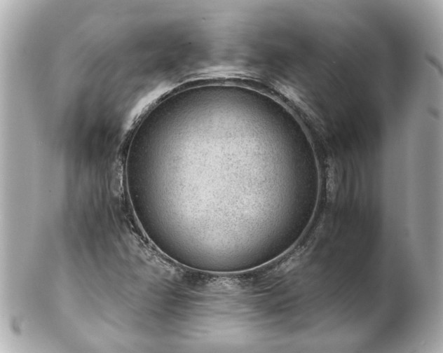X0000100901358200807011211