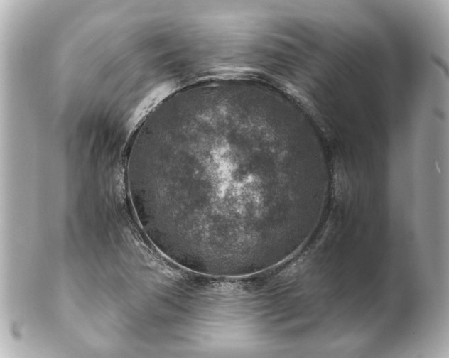 X0000100901362200807011210