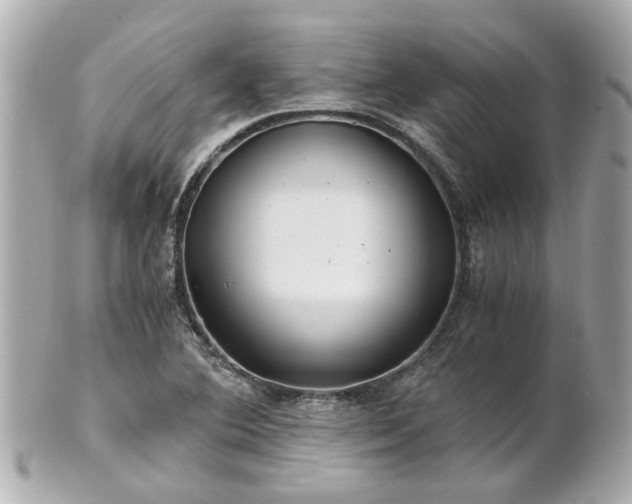 X0000100901364200807011210