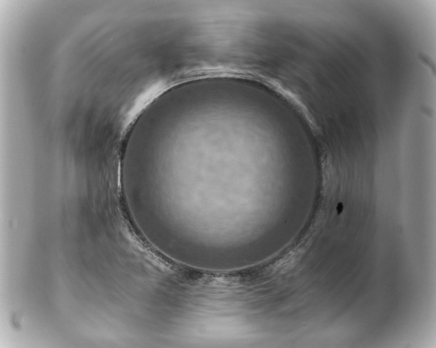 X0000100901365200807011210