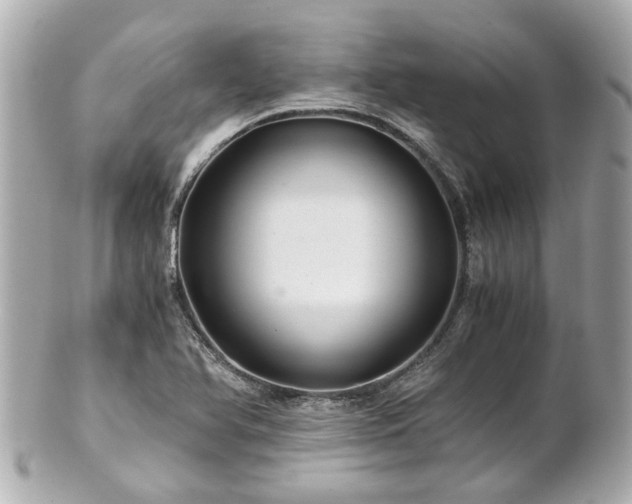 X0000100901366200807011210