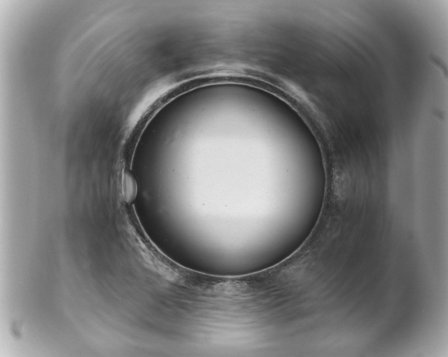 X0000100901368200807011210