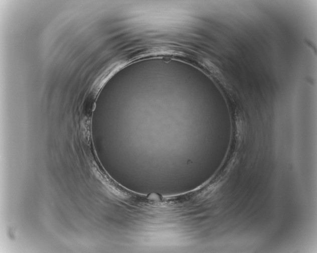 X0000100901369200807011210