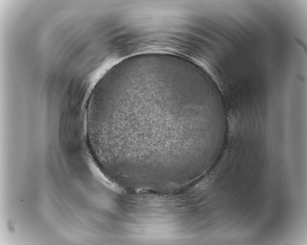 X0000100901371200807011210