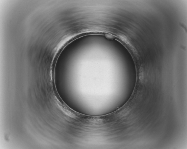 X0000100901372200807011210