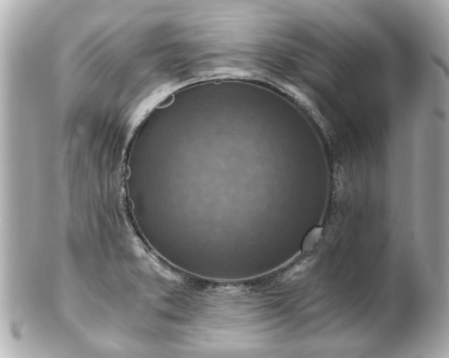 X0000100901373200807011210