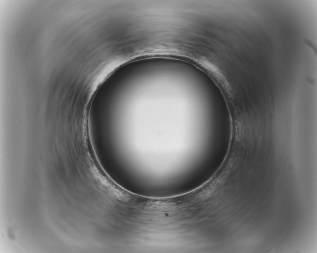 X0000100901374200807011210