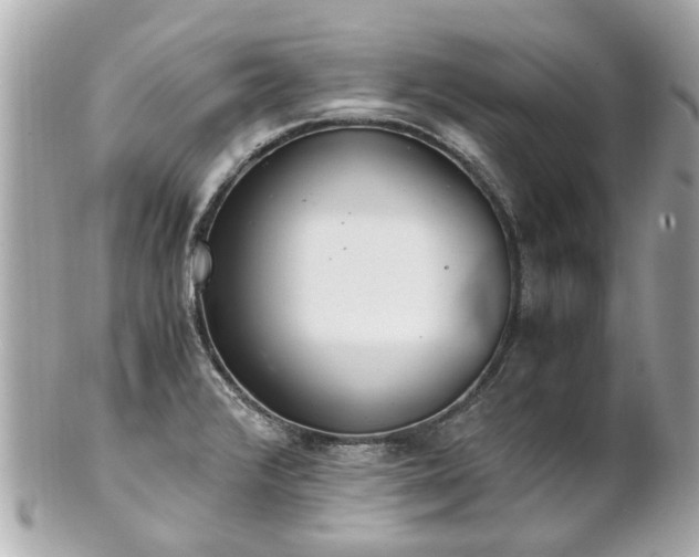 X0000100901376200807011210