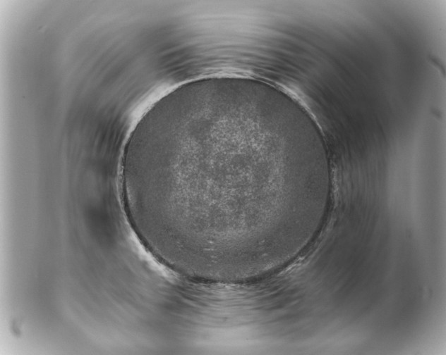 X0000100901379200807011210