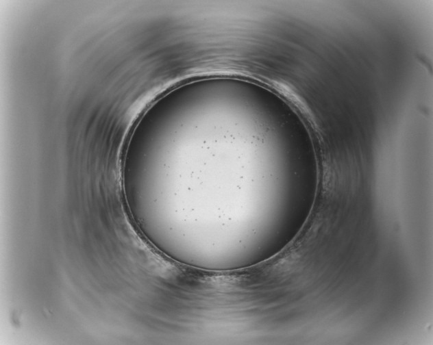 X0000100901380200807011210