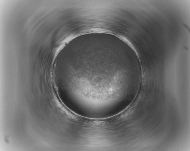 X0000100901381200807011210