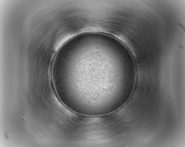 X0000100901382200807011210