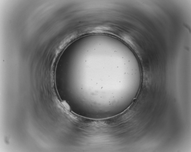 X0000100901384200807011210
