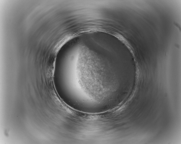 X0000100901385200807011210