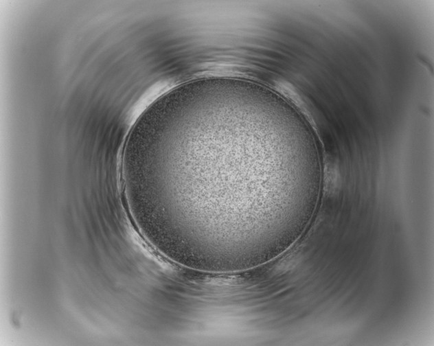 X0000100901386200807011210