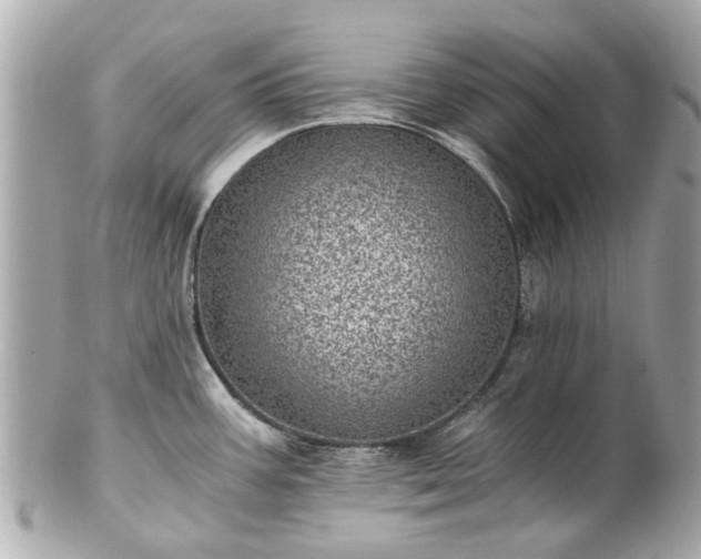 X0000100901387200807011210