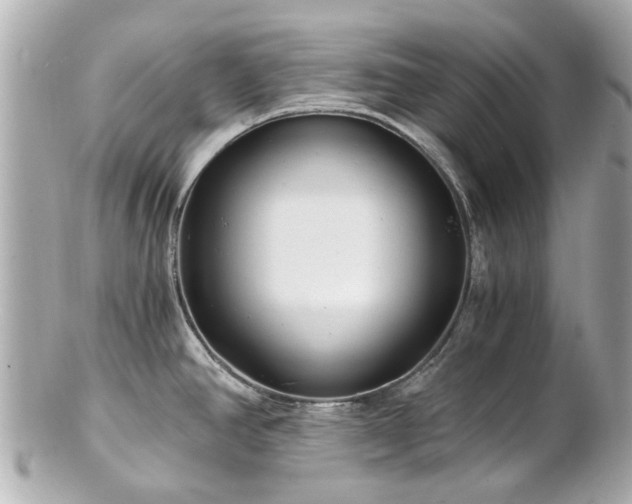 X0000100901390200807011210