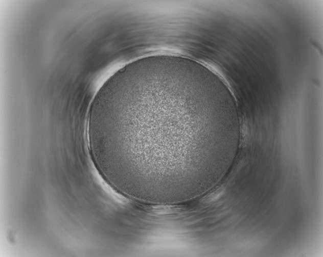 X0000100901391200807011210