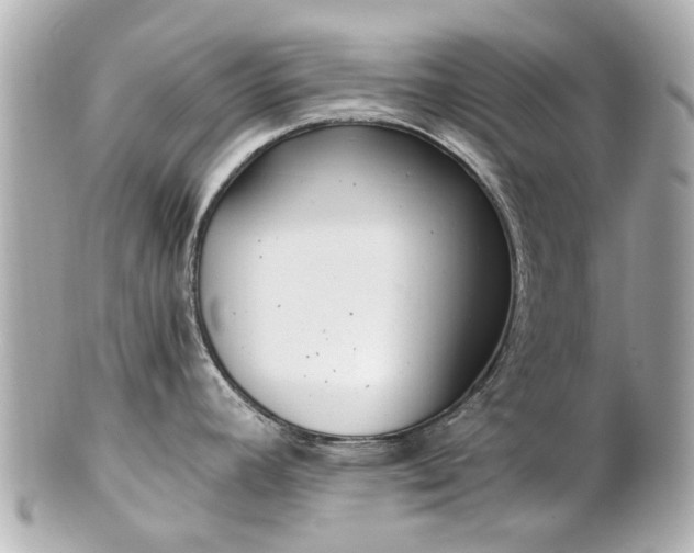X0000100901392200807011210