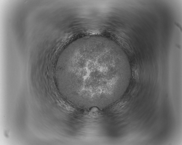 X0000100901393200807011209
