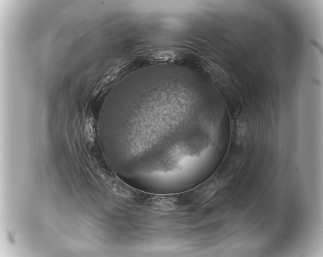 X0000100901394200807011209