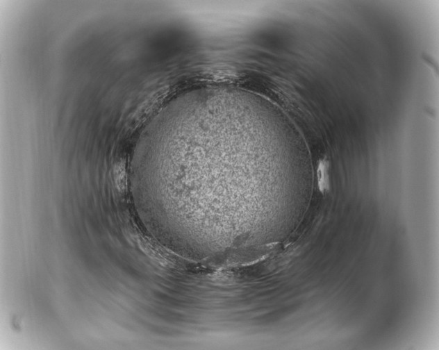 X0000100901395200807011209