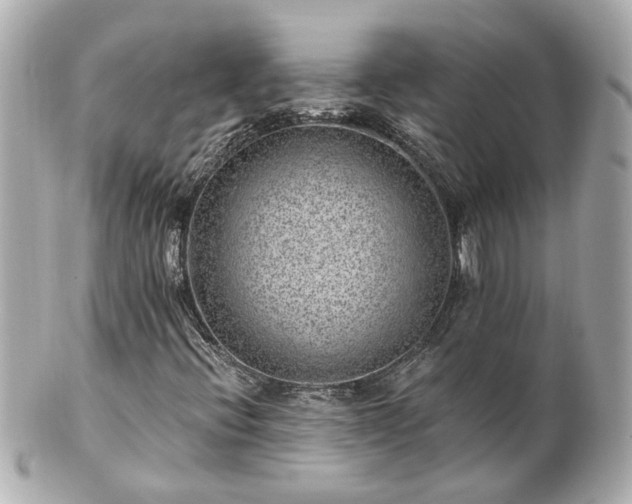 X0000100901396200807011209