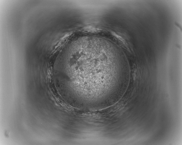 X0000100901397200807011209