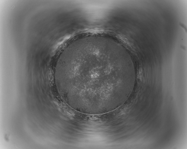 X0000100901398200807011209