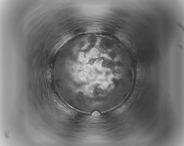 X0000100901401200807011209