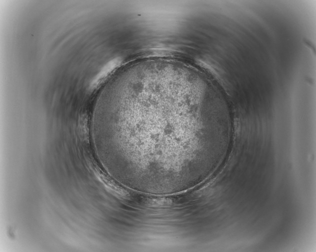 X0000100901403200807011209