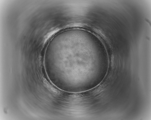 X0000100901404200807011209
