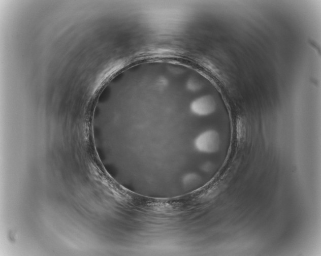 X0000100901405200807011209