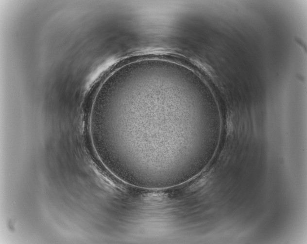 X0000100901406200807011210