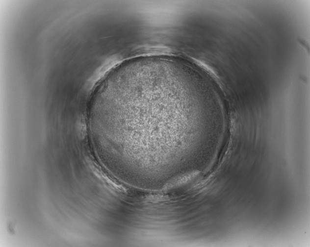 X0000100901407200807011210