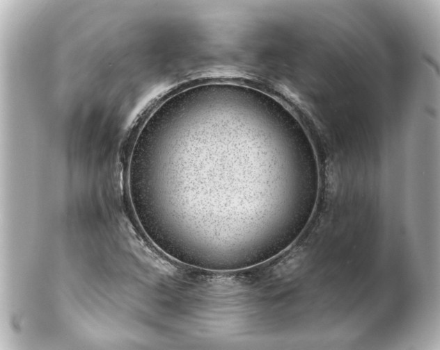 X0000100901408200807011210